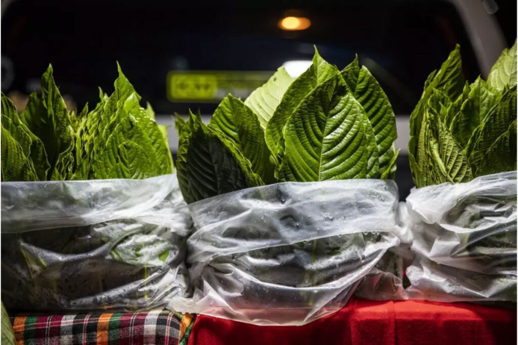 Letters to the Editor: Banning kratom would just deprive many patients of opioid-free relief