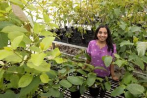 Florida Schedules Kratom Compound, Critics Cry Foul