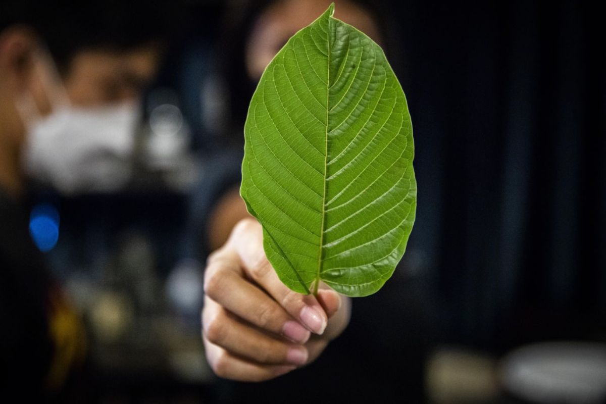 More Than 24,300 Americans Urge DEA to Reject 7-OH Ban